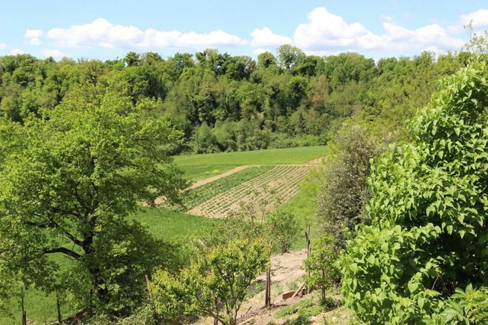 Вілла Agriturismo Stazione Di Monta Віккьо Екстер'єр фото